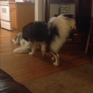 Meet your Posher, Wendy